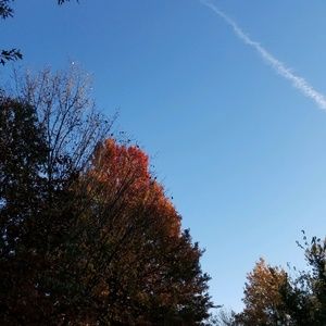 Meet your Posher, Elena